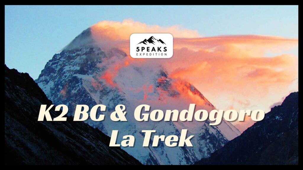 K2 BC & Gondogoro La Trek